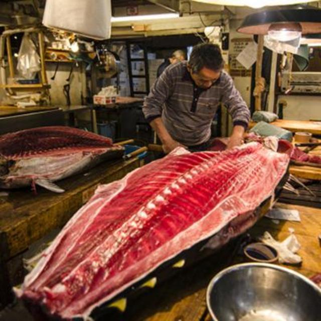 Tour of Tsukiji Fish Market