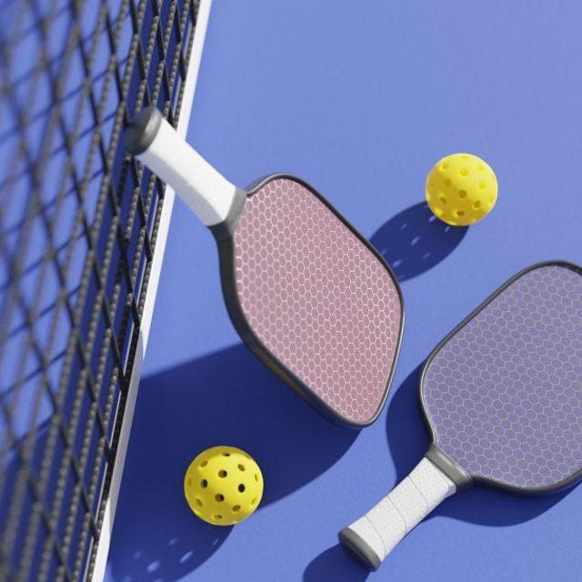 Indoor Pickleball membership
