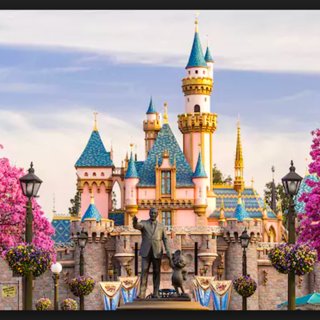 Disneyland Weekend