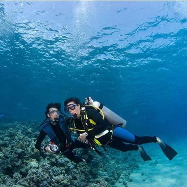 Scuba Diving in St. Lucia