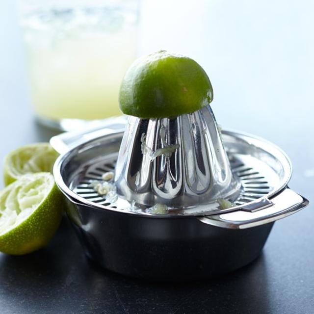 Williams-Sonoma Open Kitchen Stainless-Steel Juicer