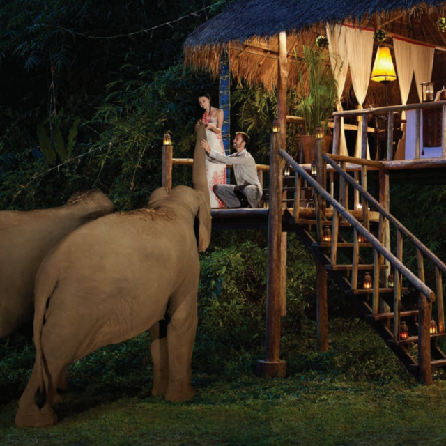 Dining at the Elephant Sanctuary