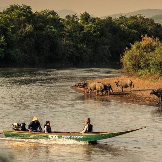 Golden Triangle Excursion