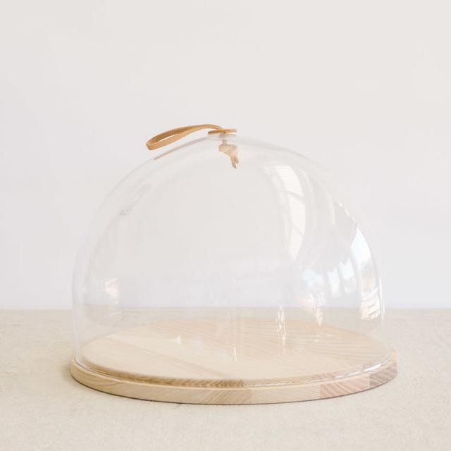 Ivalo Dome & Ash Base