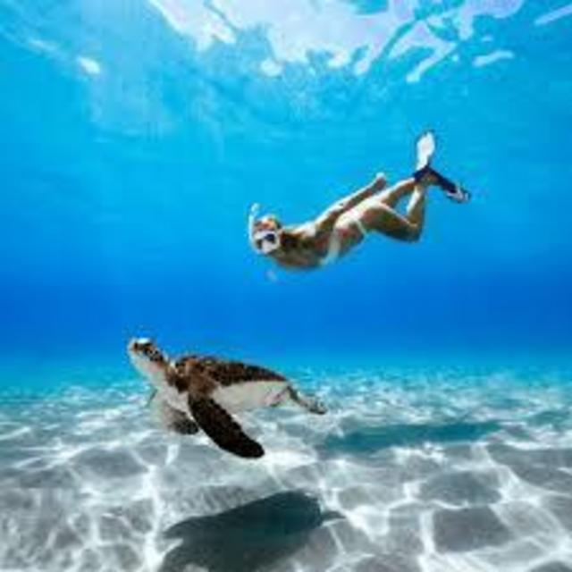 Curacao Caves & Turtle Swim Experience