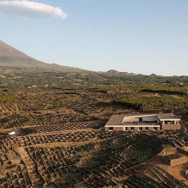 Wine Tasting at the Azorean Wine Company