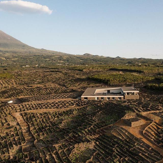 Wine Tasting at Azorean Wine Company