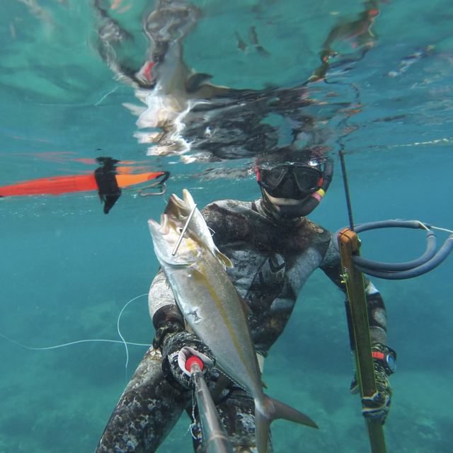 Spearfishing in the Azores