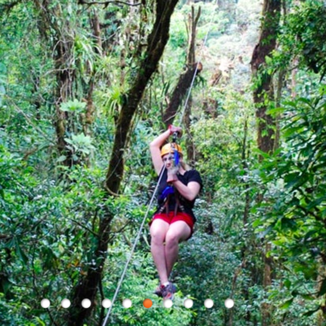 Ziplining Above Cloud Forest