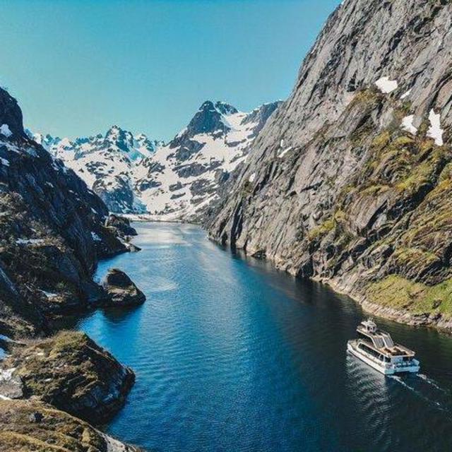Lofoten Island: Silent Trollfjord Cruise from Svolvær