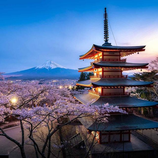 Japan! Contribute to Our Dream Honeymoon