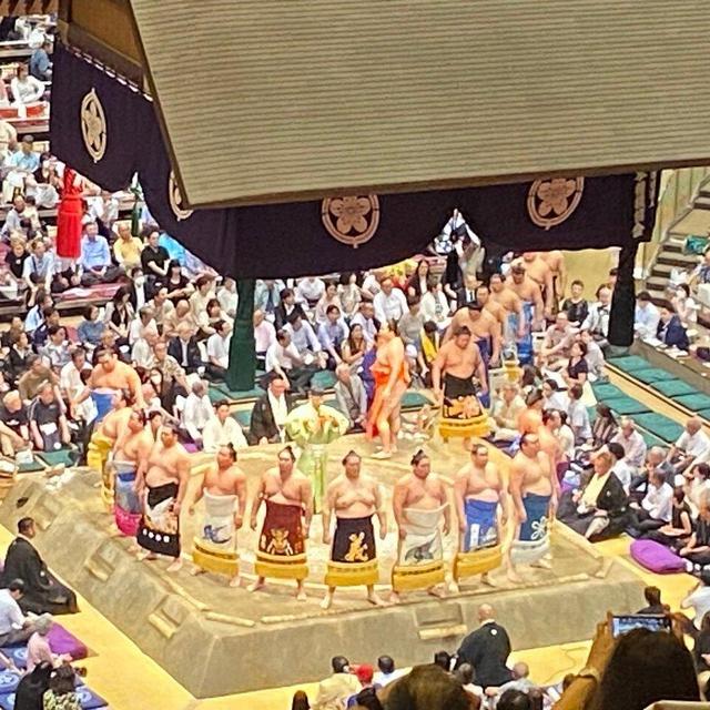 Tokyo Sumo Wrestling Tournament Experience