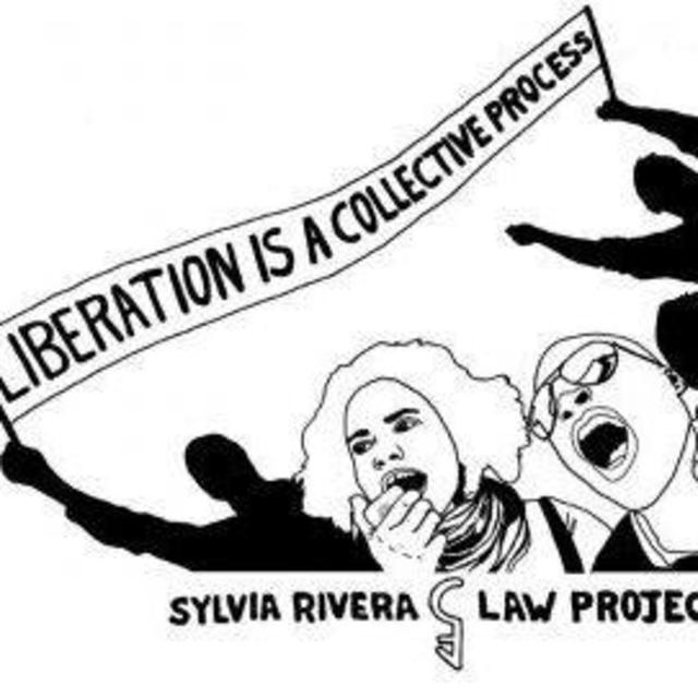Sylvia Rivera Law Project