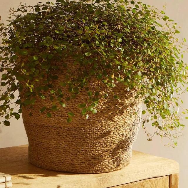 UTILITY BASKET