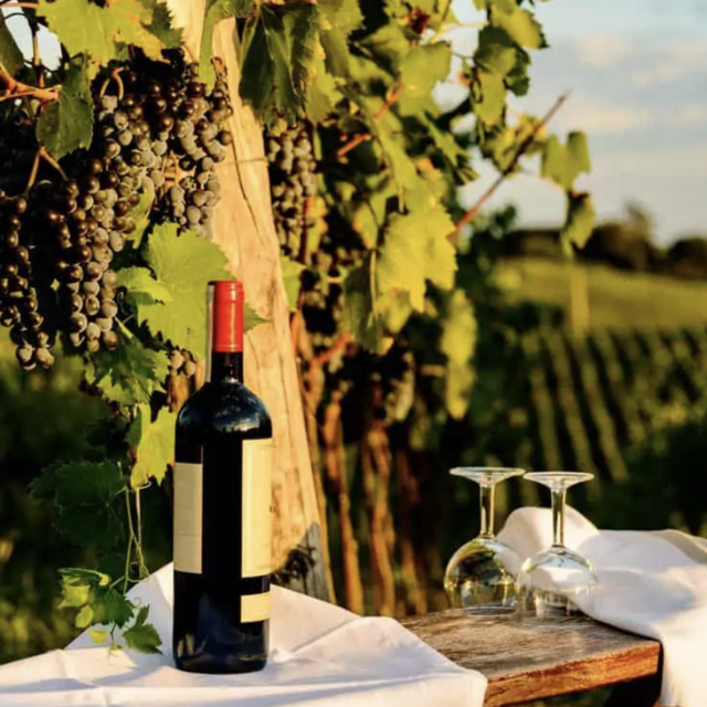 Wine Tasting in Tuscany