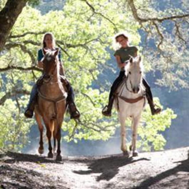 1 Hour Horseback Ride