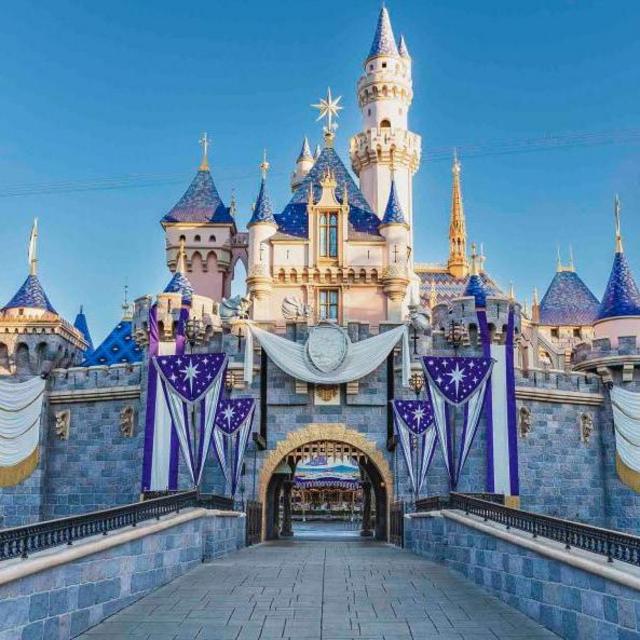 Disneyland Day Pass
