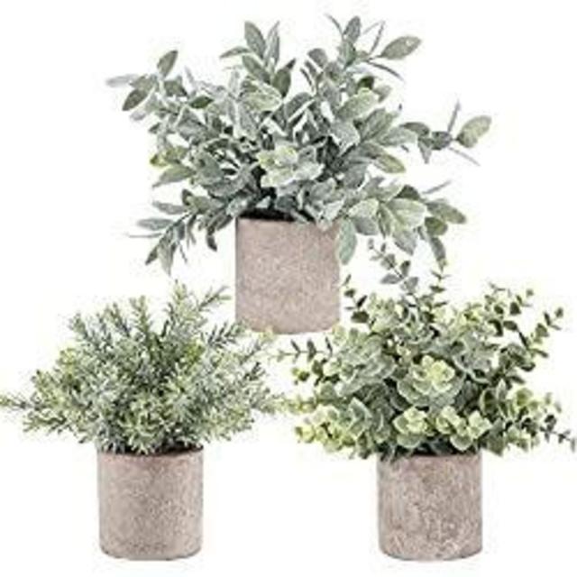 Der Rose 3 Pack Mini Potted Fake Plants Artificial Plastic Eucalyptus Plants