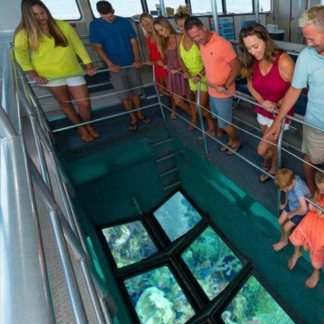 Glass-bottom boat tour on Honeymoon