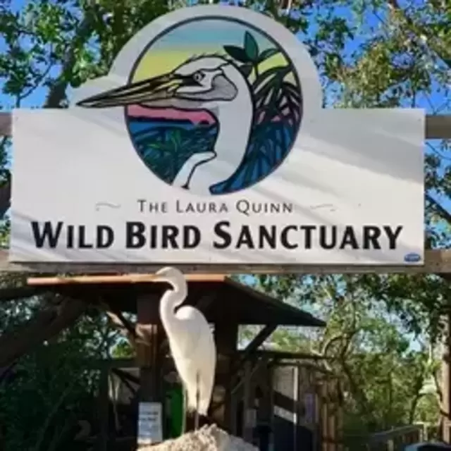 Wild Bird Sanctuary on Honeymoon