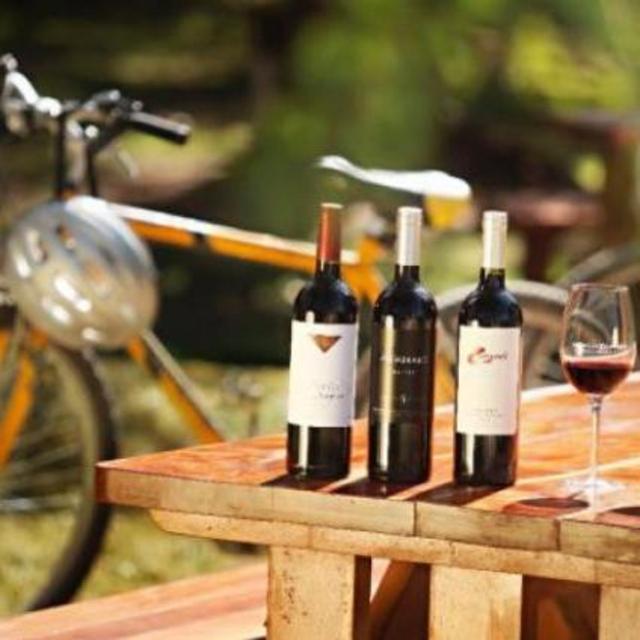 Bike tour in Mendoza wine country