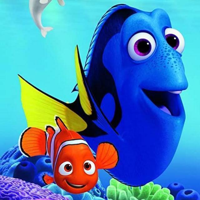 Snorkeling in the Great Barrier Reef