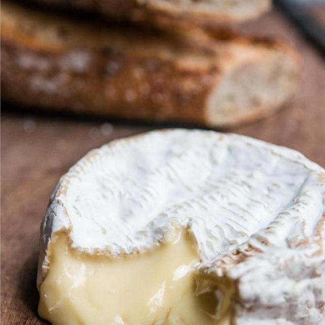 Honeymoon - All the Cheese We Can Eat