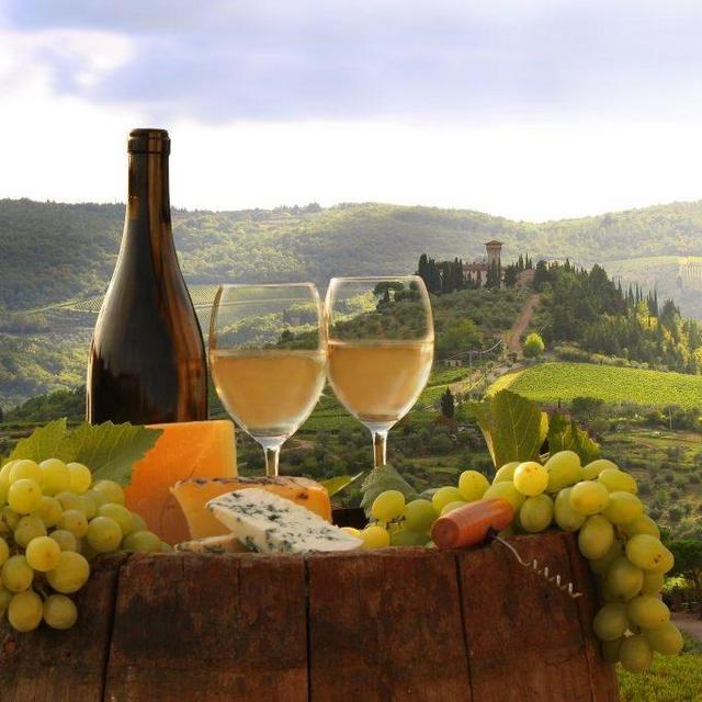 Tuscany Wine Tasting