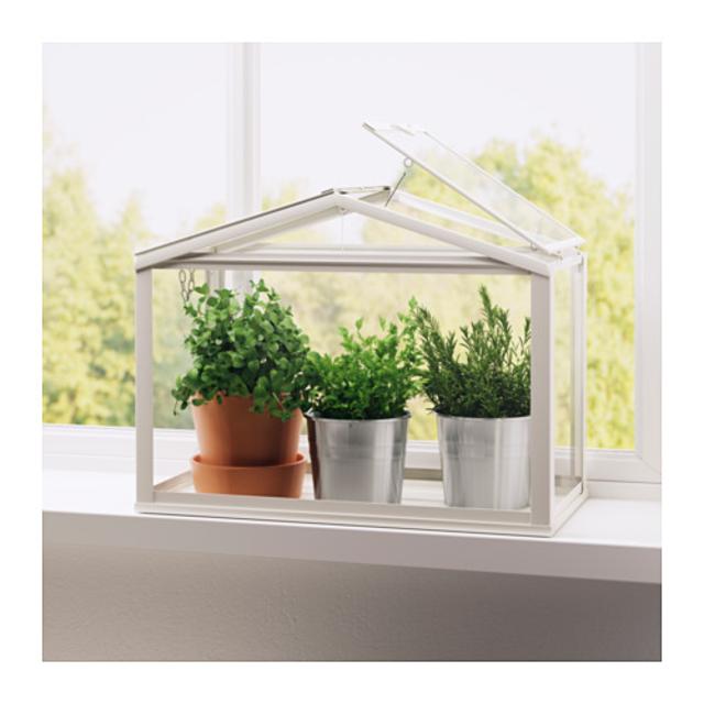 Indoor Greenhouse