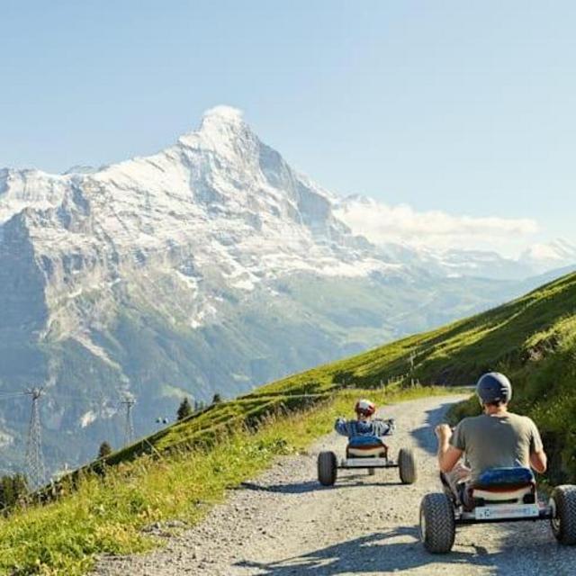 Carting down the Alps