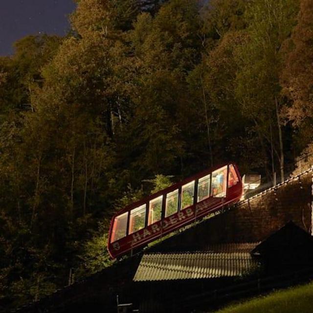 Train Rides and Transportation