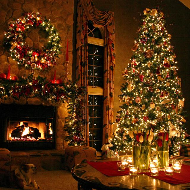 Christmas Dinner