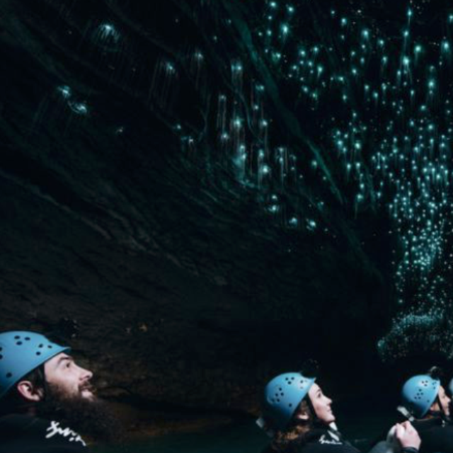 Waitomo Cave Tour, New Zealand