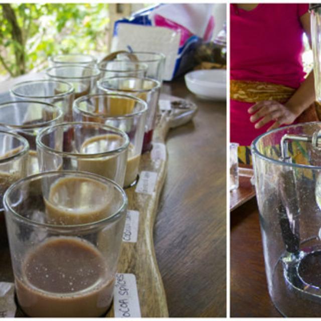 2 cups of Kopi Luwak