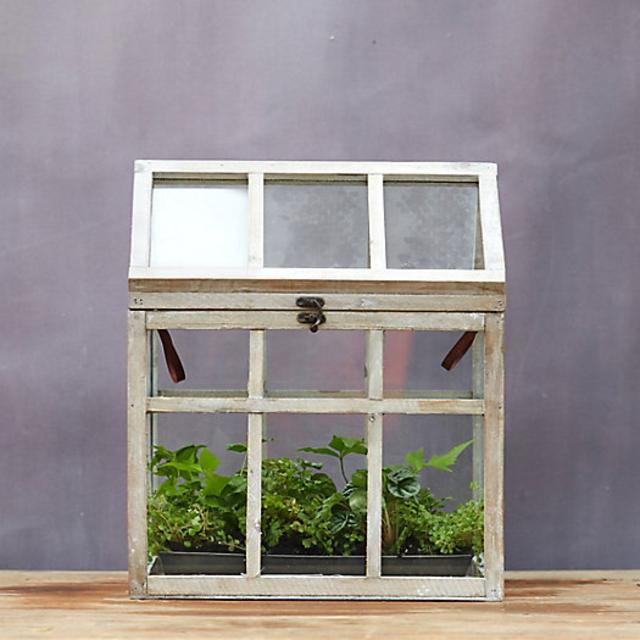 Wooden Greenhouse Terrarium