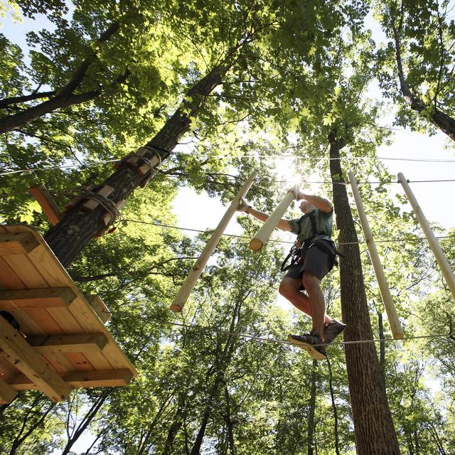 Honeymoon Activity- Aerial Adventure Park