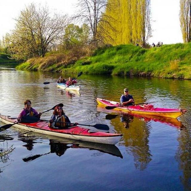 Honeymoon Activity- Kayaking and Brewery Tour