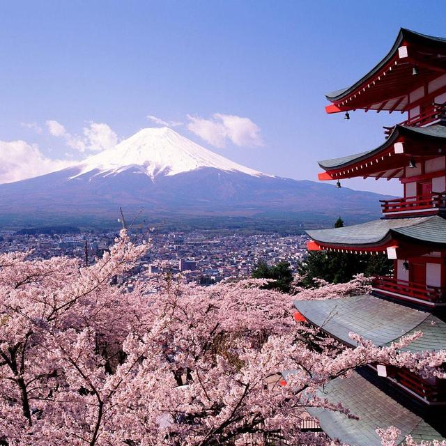 Honeymoon to Japan