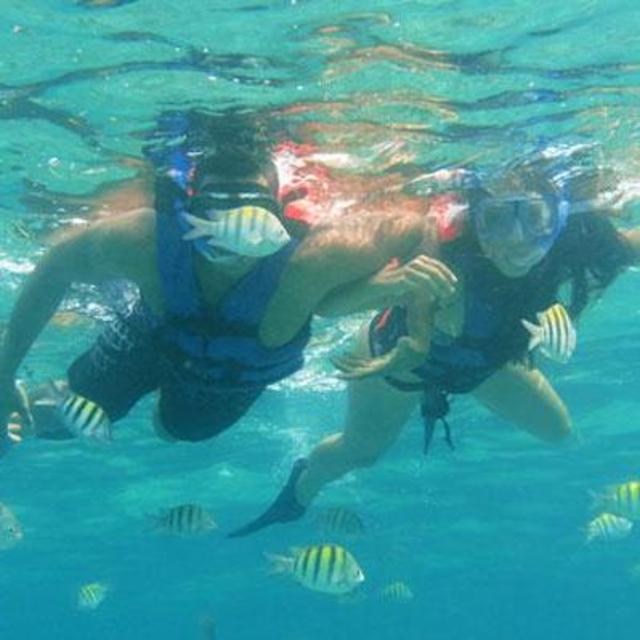 Those who snorkel together...