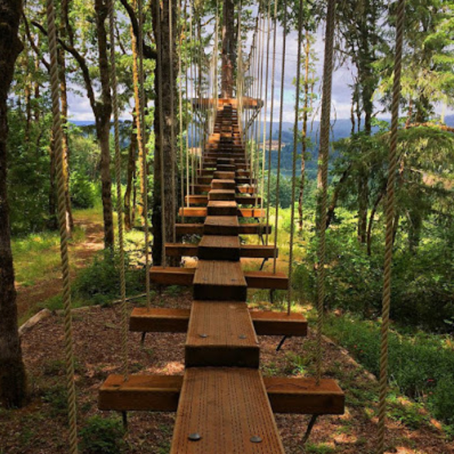 Tree to Tree Zipline Adventure Course, on our Honeymoon