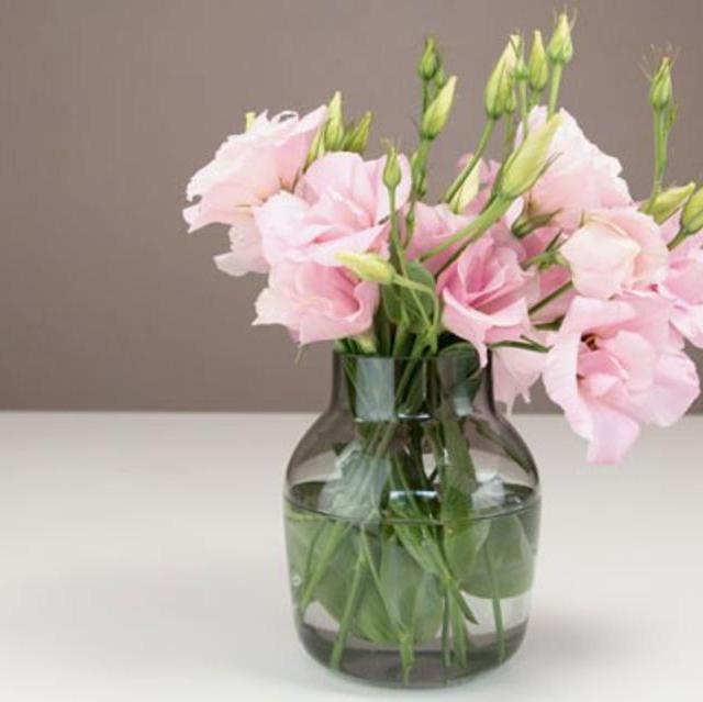 Gray Silent Vase | Small