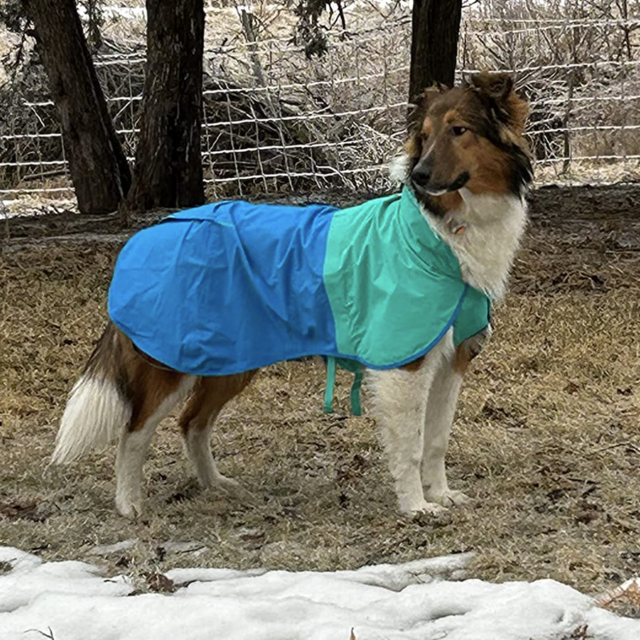 RUFFWEAR, Sun Shower Dog Raincoat, All-Weather Jacket, Waterproof, Windproof & Lightweight, Blue Dusk, Large