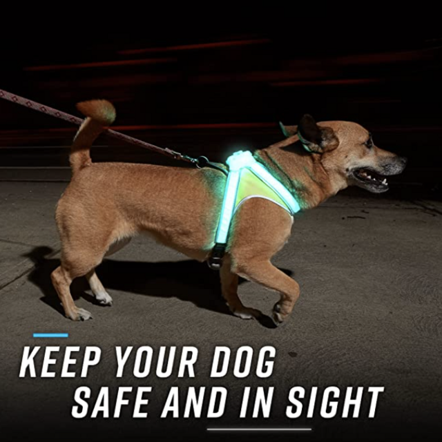 Noxgear LightHound – Revolutionary Illuminated and Reflective Harness for Dogs Including Multicolored LED Fiber Optics (USB Rechargeable, Adjustable, Lightweight, Rainproof) (Large)