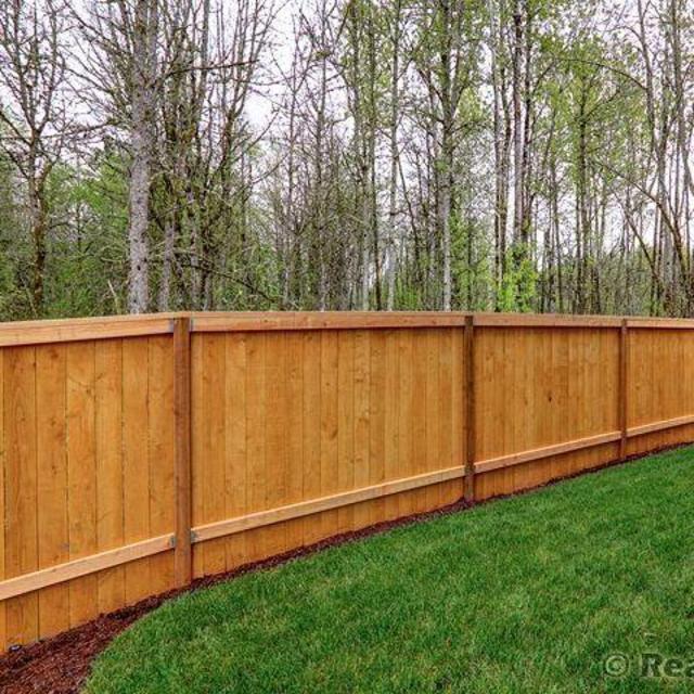 Fenced In Back Yard Fund