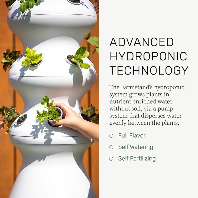 Lettuce Grow Farm Stand