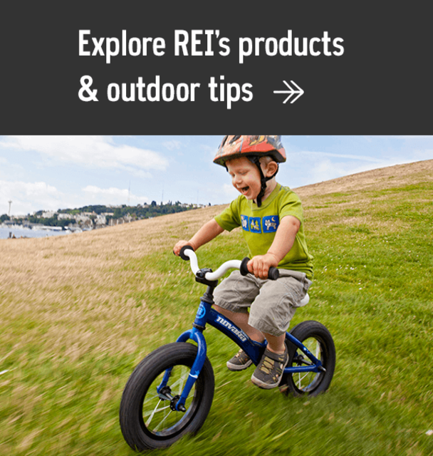 REI				        	Camp Dome 4