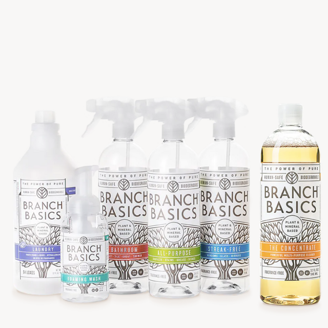 Branch Basics Starter Kit