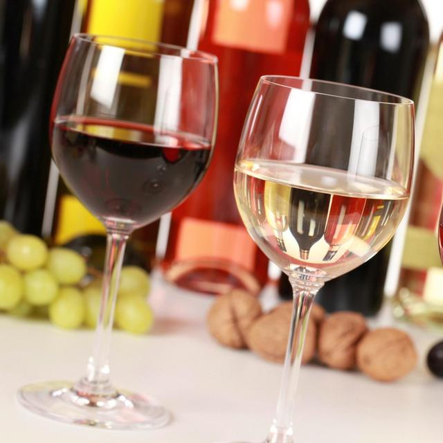 Wine Tasting in Franschoek