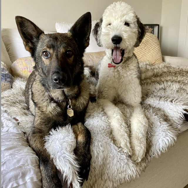 Brixton & Lana's Haircut and Babysitter Fund