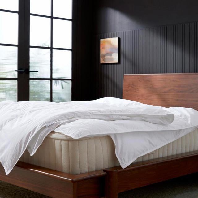 Parachute Down Alternative Duvet Insert